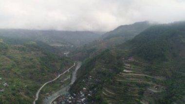 Dağlarda pirinç terasları.