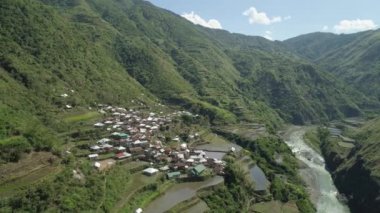 Dağlarda pirinç terasları.