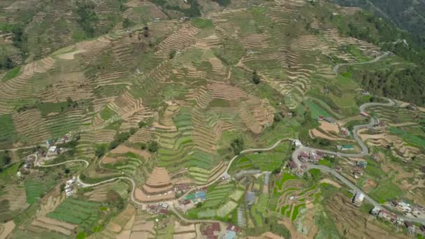 Campos agrícolas en una provincia de montaña Filipinas, Luzón — Vídeos de Stock