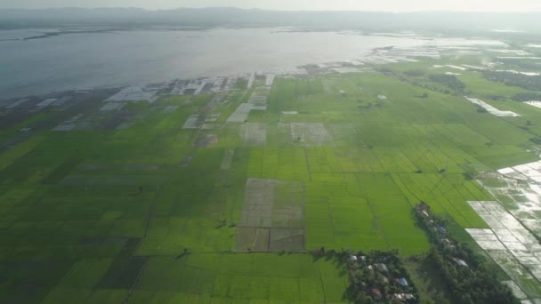 Paisaje con un lago, tierras agrícolas y montañas . — Vídeo de stock