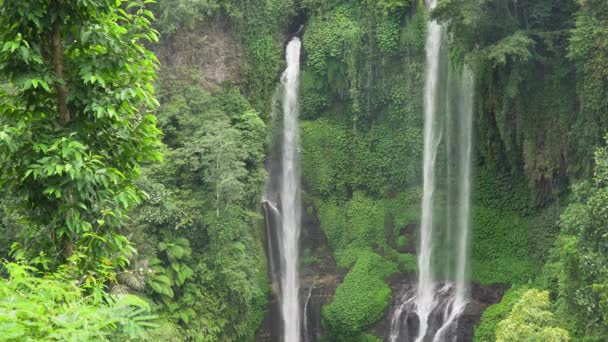 Güzel tropik şelale. Bali, Endonezya. — Stok video