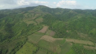 Avuç içi ve dağlık ili tarım arazisi