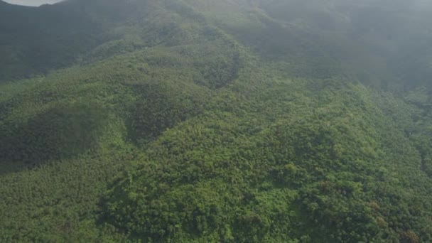 Paisaje de montaña en Filipinas. — Vídeo de stock