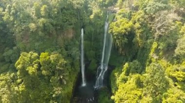 Güzel tropik şelale. Bali, Endonezya.