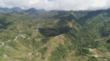Dağlarda pirinç terasları. Filipinler, Batad, Banaue.