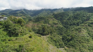 Dağlarda pirinç terasları. Filipinler, Batad, Banaue.