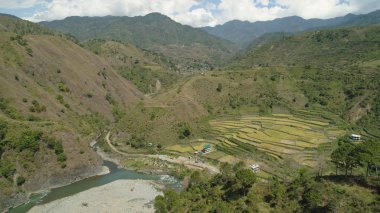 Dağlarda pirinç terasları.