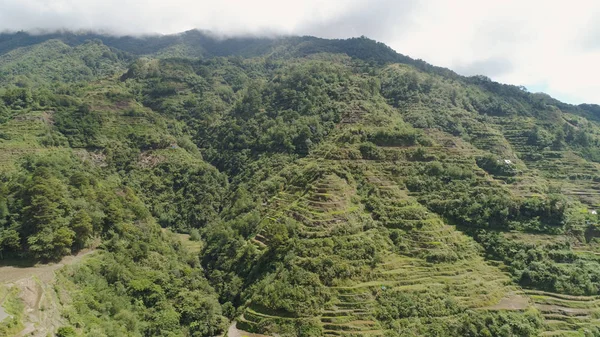 Terrazze di riso in montagna. Filippine, Batad, Banaue. — Foto Stock