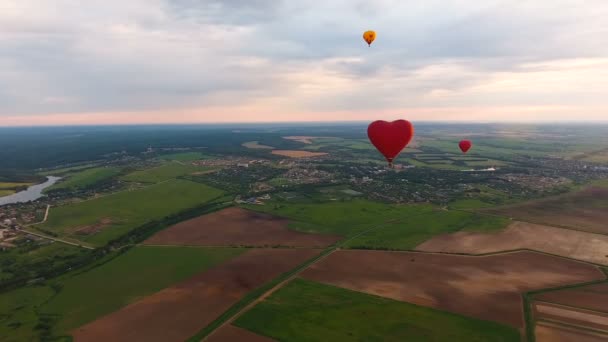 뜨거운 공기 풍선 필드 하늘에서. 공중 보기 — 비디오