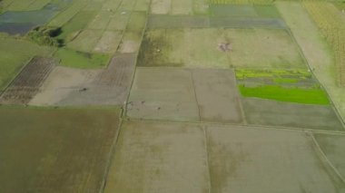 Pirinç Teras alanıyla Filipinler, Luzon manzara.