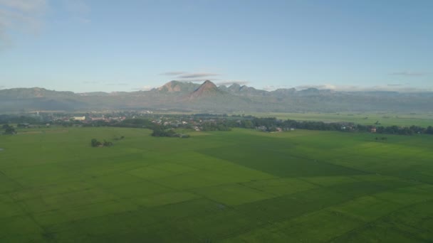 Aerial View Villages Farmer Fields Rice Terraces Mountain Valley Philippines — Stock Video