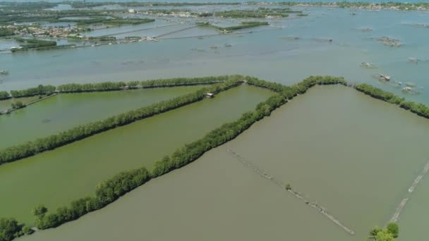 Stad onder het water in de mangroven. — Stockvideo