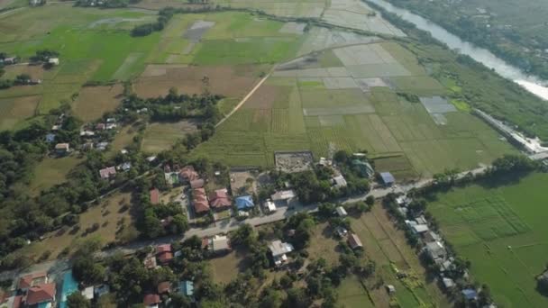 Landskap med terrass i risfält Filippinerna, Luzon. — Stockvideo