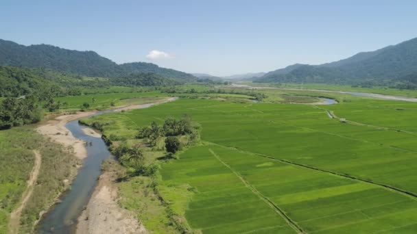 Mountain valley with farmlands in the Philippines — Stock Video