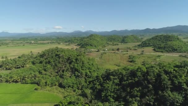 Krajina s polem rýžové terasy. Filipíny, Luzon. — Stock video
