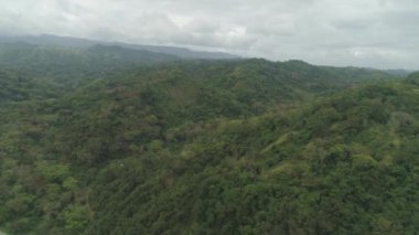 Filipinler 'deki Dağ Bölgesi.