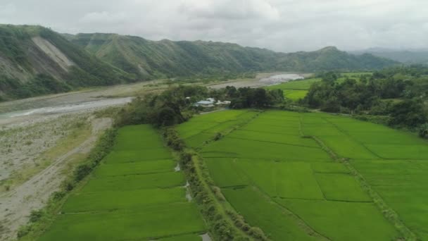 Bergtal auf den Philippinen — Stockvideo