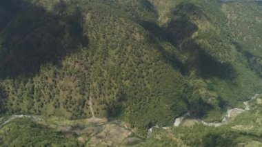 Filipinler 'deki Dağ Bölgesi.