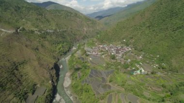 Dağlarda pirinç terasları.