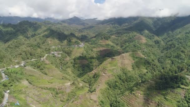 Ταράτσες ρυζιού στα βουνά. Φιλιππίνες, Batad, Banaue. — Αρχείο Βίντεο