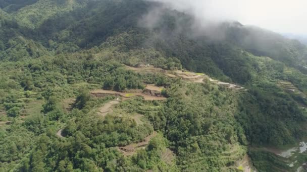 Rýžové terasy v horách. Filipíny, Batad, Banaue. — Stock video