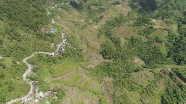 Dağlarda pirinç terasları. Filipinler, Batad, Banaue. — Stok video