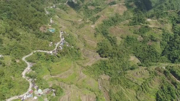 Reisterrassen in den Bergen. Philippinen, Batad, Banaue. — Stockvideo