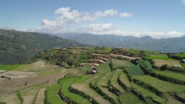 Filipinler 'de bir dağ ilinde tarım arazisi, Luzon