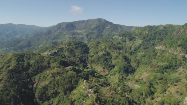 Rice terraces in the mountains. — Stock Video