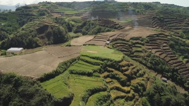 Campos agrícolas en una provincia de montaña Filipinas, Luzón — Vídeos de Stock