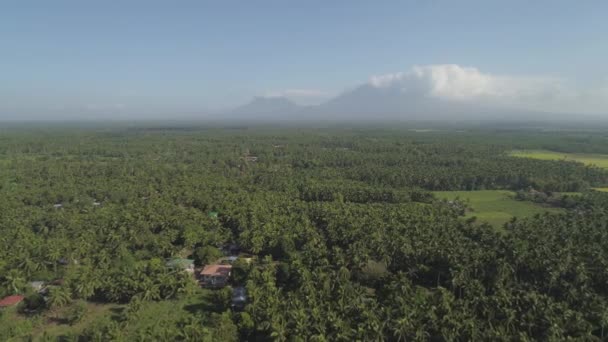 Ackerland in einer Bergprovinz Philippinen, Luzon — Stockvideo