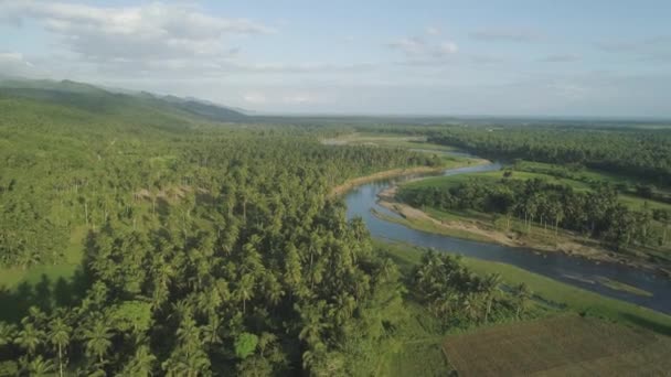 Paisagem tropical, palmeiras, rio, montanhas . — Vídeo de Stock