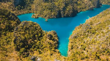 Dağ lake Kayangan tropik bir adada, Filipinler, Coron, Palawan.