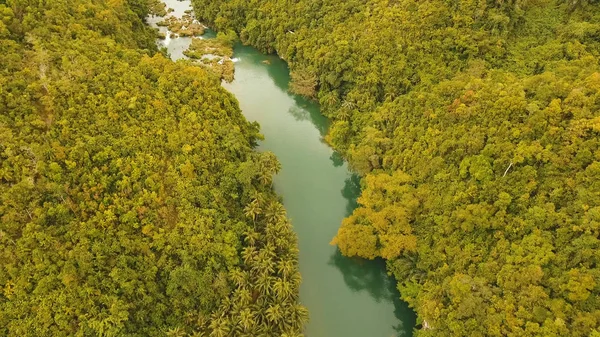 Loboc річка в тропічному лісі Філіппіни, Бохол. — стокове фото