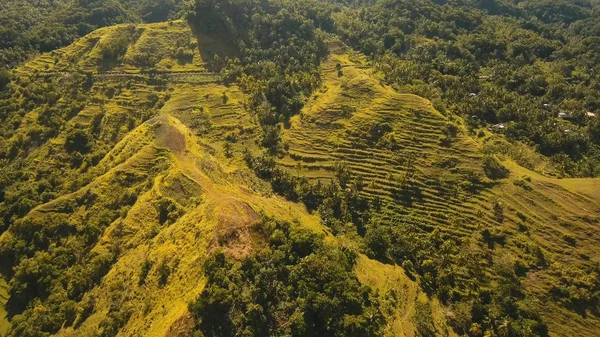 Góry z lasów tropikalnych. Wyspa Bohol Filipiny. — Zdjęcie stockowe