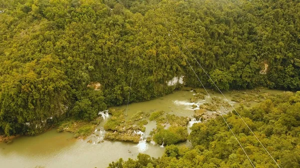 ボホール島、フィリピンの島のジャングルの中で魅力をたとえていうなら. — ストック写真
