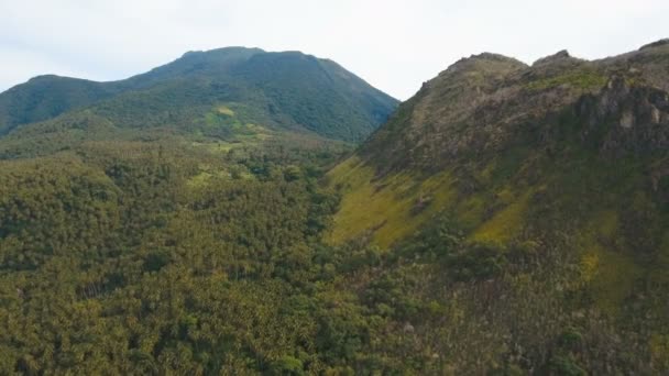 Tropikal orman dağlarda. Camiguin Adası Filipinler. — Stok video