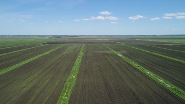 Vue aérienne des terres agricoles . — Video