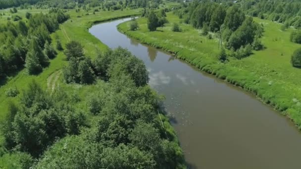 Landschap met rivier en bomen. — Stockvideo