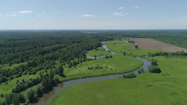Krajina s řekou a stromy. — Stock video