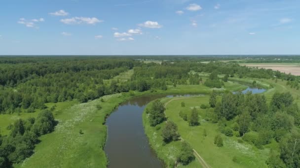 Krajina s řekou a stromy. — Stock video