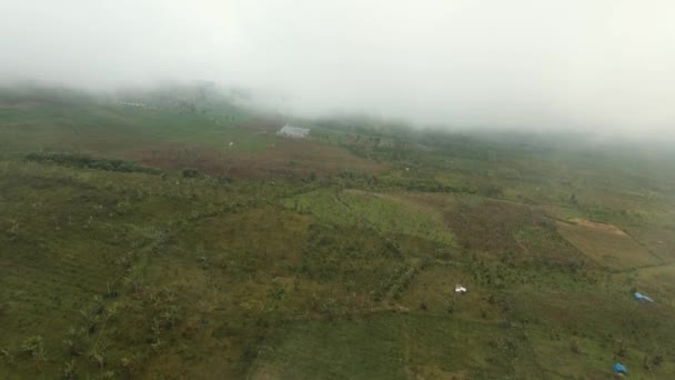 Tierras de cultivo en las montañas en la niebla. Isla de Jawa, Indonesia — Vídeos de Stock