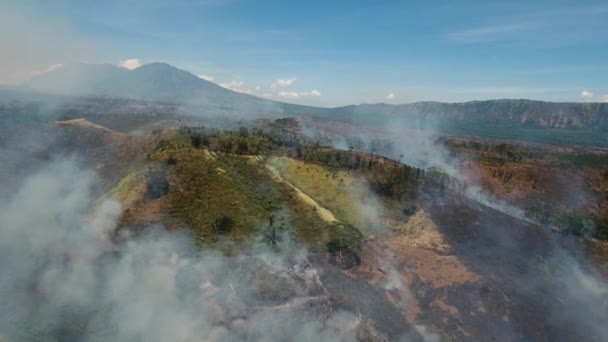 조감도 숲 화재입니다. 자와 섬, 인도네시아. — 비디오