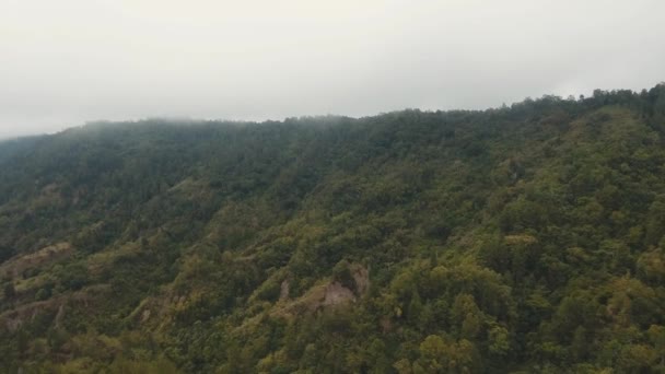 Regenwald im Nebel und in Wolken. bali, indonesien. — Stockvideo