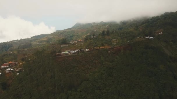 Dağlarda sisli ve bulutlu tarlalar. Bali, Endonezya — Stok video