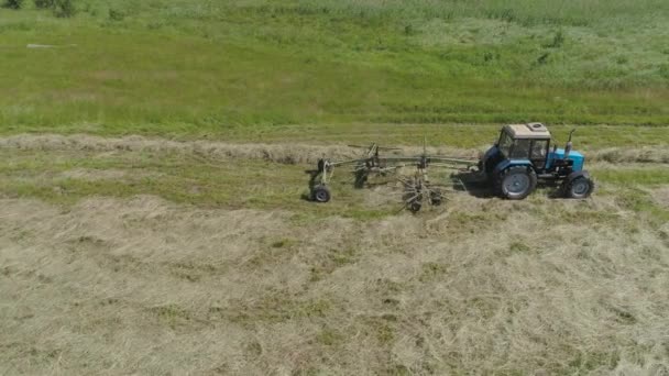 Tractor con rastrillo henificadores en el campo de la granja. — Vídeo de stock