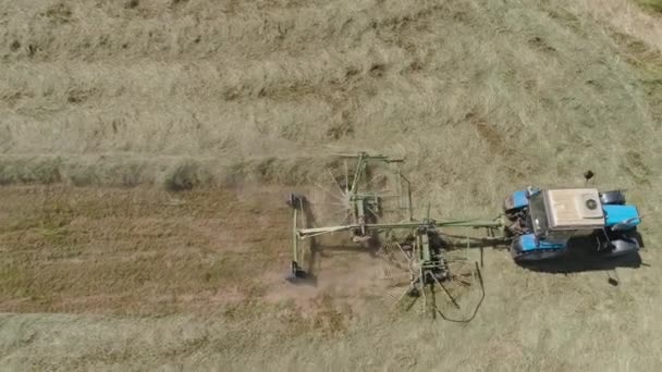 Tractor con rastrillo henificadores en el campo de la granja. — Vídeo de stock