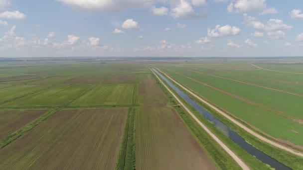 Luchtfoto van landbouwgrond. — Stockvideo