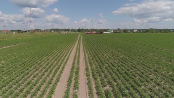 Vista aérea das terras agrícolas . — Vídeo de Stock