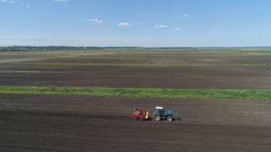 Tarlada patates topluyorum.